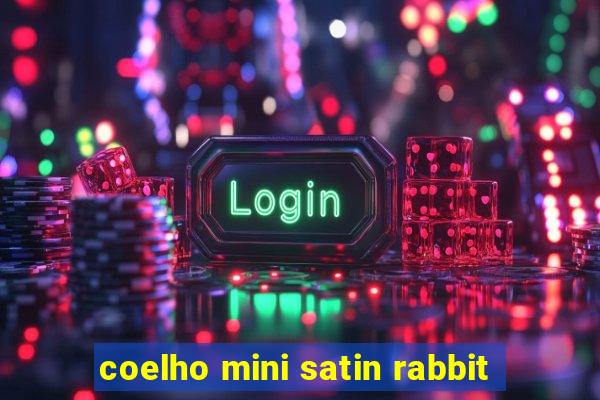 coelho mini satin rabbit